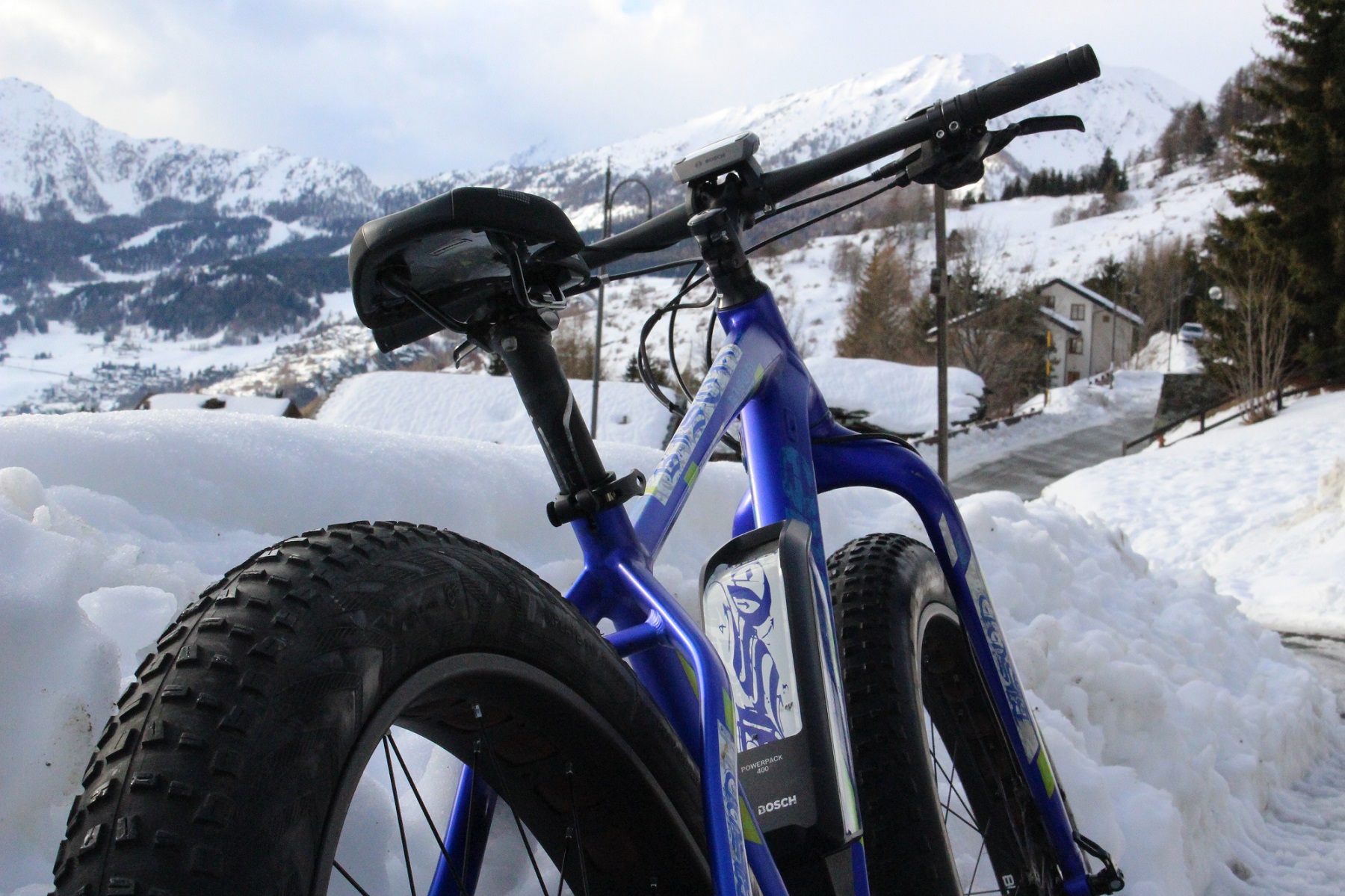 Fatbike ebike bosch